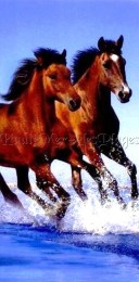 serviette de plage cheval